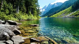 Calm River In Nature Wallpaper