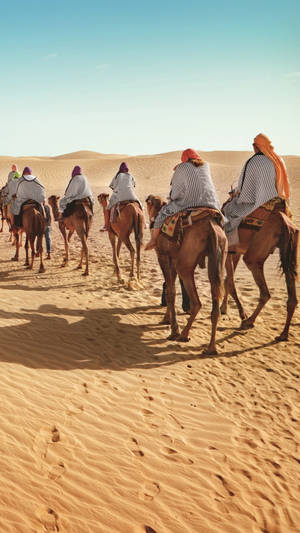 Camel Aesthetic Photo Wallpaper