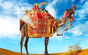 Camel With Accessories Wallpaper