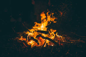 Campfire In The Dark Wallpaper