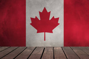 Canada Flag Wall Wallpaper