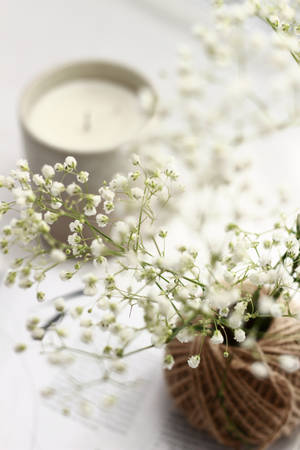 Candle White Aesthetic Wallpaper