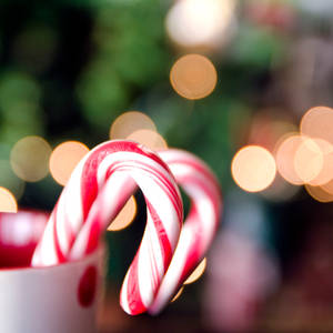 Candy Cane Christmas Lights Wallpaper