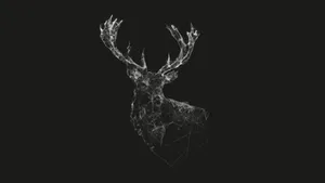 Canva Black And White Deer Art Wallpaper