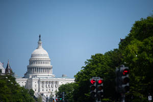 Capitol Hill And Trees Wallpaper