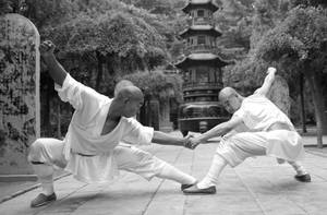 Caption: An Exemplary Display Of Wing Chun At The Historic Shaolin Temple Wallpaper