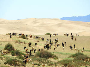 Caption: Breathtaking View Of Mongolia's Gobi Desert Wallpaper