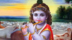 Caption: Divine And Adorable, Little Krishna In Hd Wallpaper