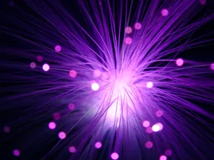 Caption: Electric Purple Splash Wallpaper