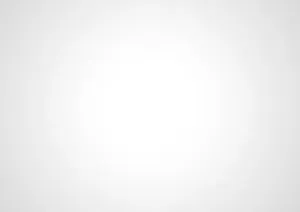 Caption: Embracing Serenity In Pure White Wallpaper