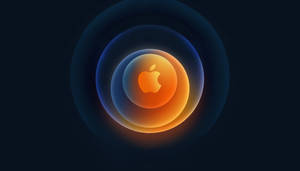 Caption: Full Hd Stunning Apple Circular Design Wallpaper