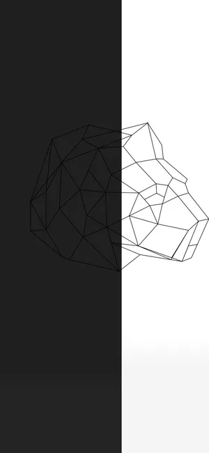 Caption: Half Black Half White Abstract Design Wallpaper
