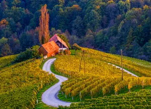 Caption: Idyllic Landscape Of Lake Bled, Slovenia Wallpaper