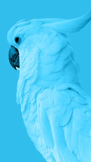 Caption: Majestic Blue Parrot Under A Sunny Sky Wallpaper