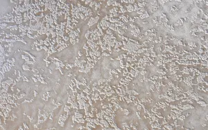 Caption: Majestic Detail Of Silver Plaster Relief Surface Wallpaper