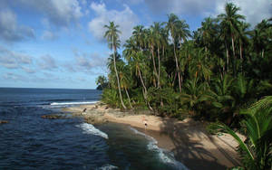 Caption: Majestic View Of Manzanillo Beach, Costa Rica Wallpaper