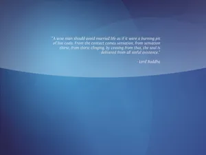 Caption: Reflection On Wise Man's Life Wallpaper