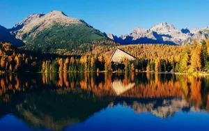Caption: Serene Beauty Of Crystal Clear Lake Wallpaper