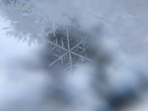 Caption: Serene Winter Landscape Wallpaper