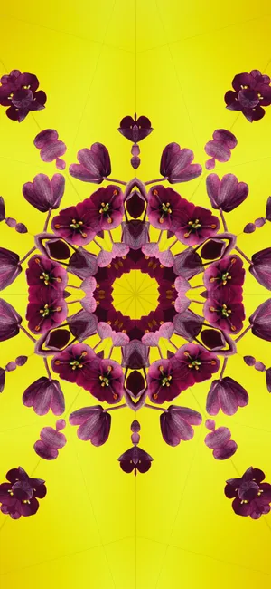 Caption: Stunning Ios 17 Wallpaper Wallpaper