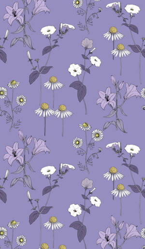 Caption: Stylish Minimalist Daisy Phone Wallpaper Wallpaper