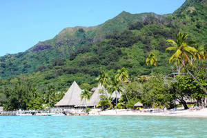 Caption: Traditional Cone Roof Buildings In Micronesia Wallpaper