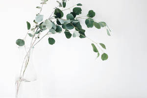 Caption: Tranquil Minimalist Landscape Wallpaper