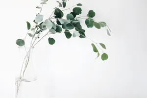 Caption: Tranquil Minimalist Landscape Wallpaper
