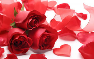 Caption: Trio Of Love - Elegant Red Roses Seeking Affection Wallpaper