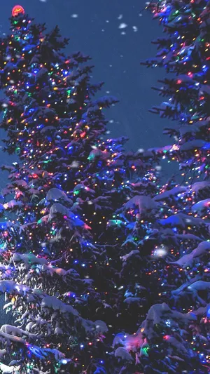 Caption: Twinkling Lights On Outdoor Christmas Trees Wallpaper