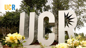 Caption: Ucr Campus Entrance Beautified By Bright Yellow Flowers Wallpaper