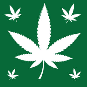 Caption: Unique White Marijuana Leaf Amidst Emerald Greenery Wallpaper