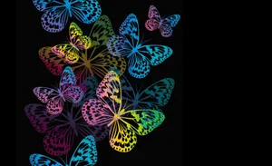 Captivating Dark Butterfly On A Mystical Night Wallpaper