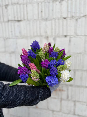 Captivating Fresh Hyacinths Flower Bouquet Wallpaper