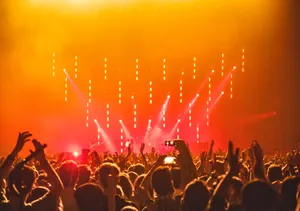 Captivating Music Festival Moments Wallpaper
