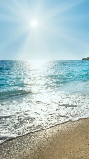 Capture The Essence Of Sunny California With This Custom Iphone Wallpaper