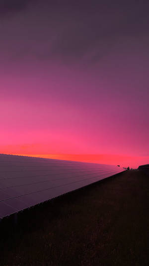 Capture The Perfect Moment With A Pink Sunset Iphone Wallpaper