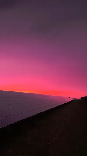 Capture The Perfect Moment With A Pink Sunset Iphone Wallpaper