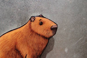 Capybara Cartoon Magnet Wallpaper