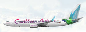 Caribbean Airlines Bird Wings Mural Wallpaper