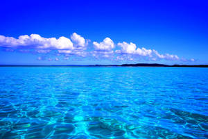 Caribbean Sea Wallpaper