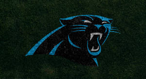 Carolina Panthers Painted Logo On Grass Wallpaper