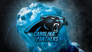 Carolina Roaring Blue Panthers Wallpaper
