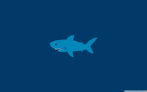 Cartoon Blue Shark Wallpaper