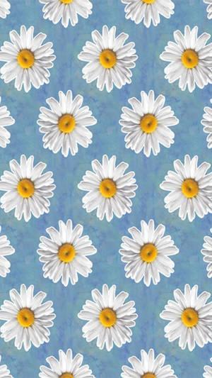 Cartoon Daisy Aesthetic Blue Wallpaper