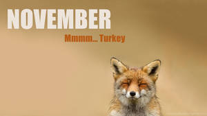 Cartoon Fox Cute Laptop Wallpaper
