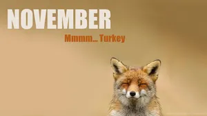 Cartoon Fox Cute Laptop Wallpaper