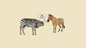 Cartoon Zebra Funny Art Wallpaper
