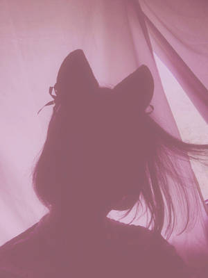 Cat Ears Girl Aesthetic Wallpaper