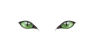 Cat Green Eyes Digital Illustration Wallpaper